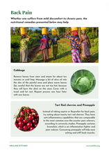 Load image into Gallery viewer, ANH Healing Kitchen: Digital Book