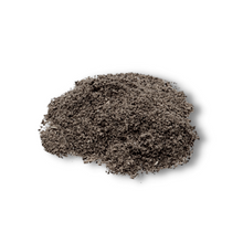 Load image into Gallery viewer, Black Brain Cleanser: Nerve & Memory Support