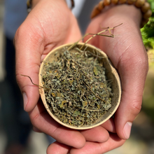 Load image into Gallery viewer, Senseni: Blood Purifier