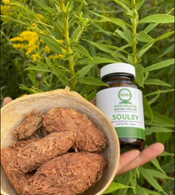 Load image into Gallery viewer, Souley: Liver & Kidney Detoxifier