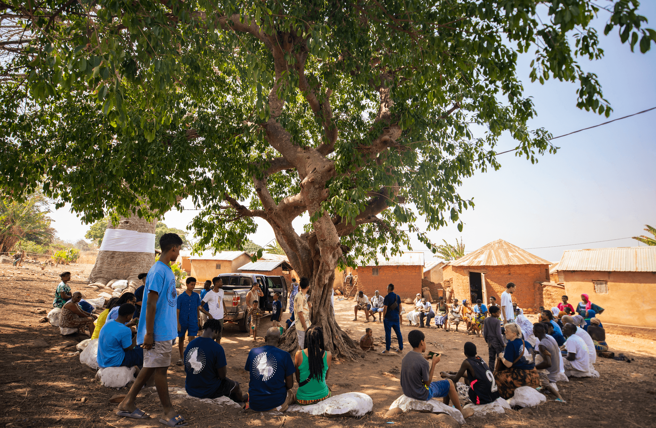 Community gathering beneath a large tree in West Africa