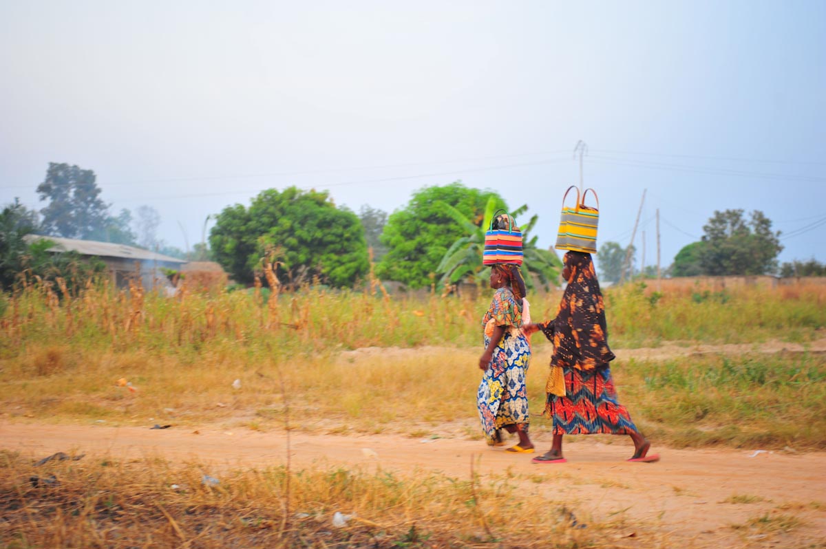 Donate to Our Projects