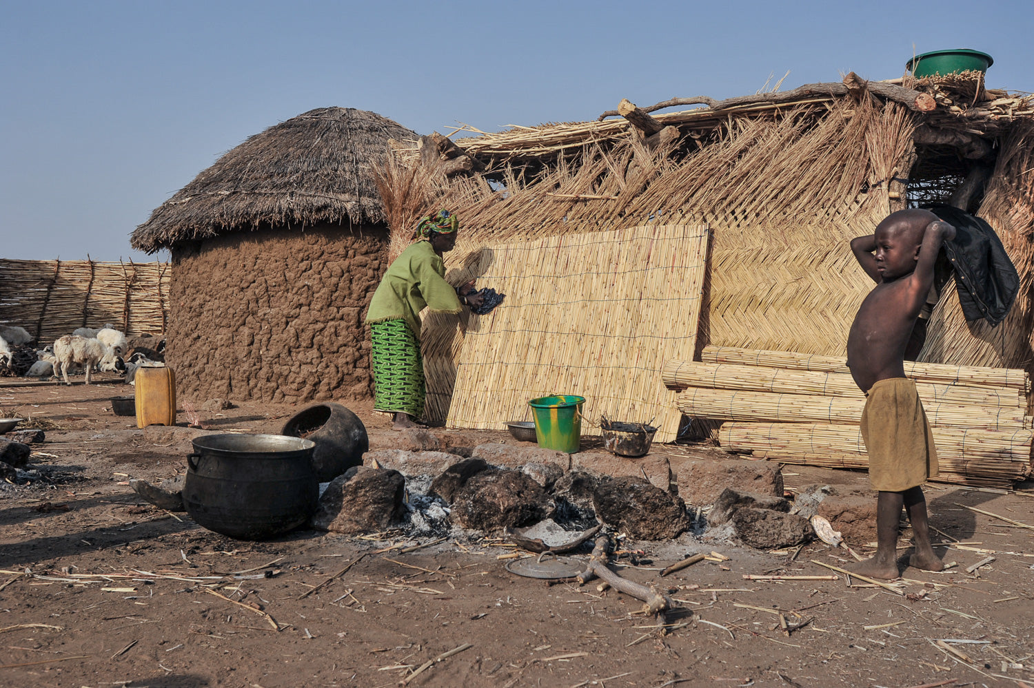 Donate to Our Projects