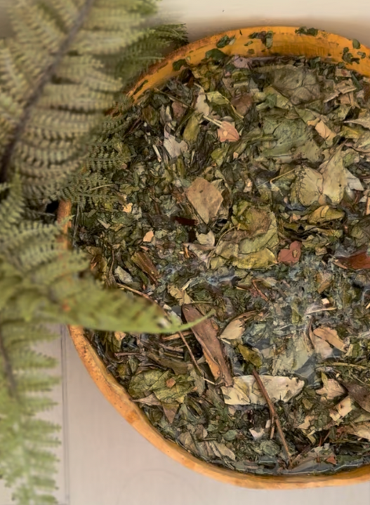 Postpartum Herbal Kit and Nutrition Guide by ANH for Indigenous wellness education
