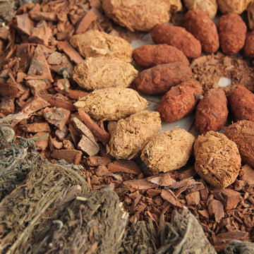 Extra Strength Raw Souley Ball: Liver & Kidney Cleanse