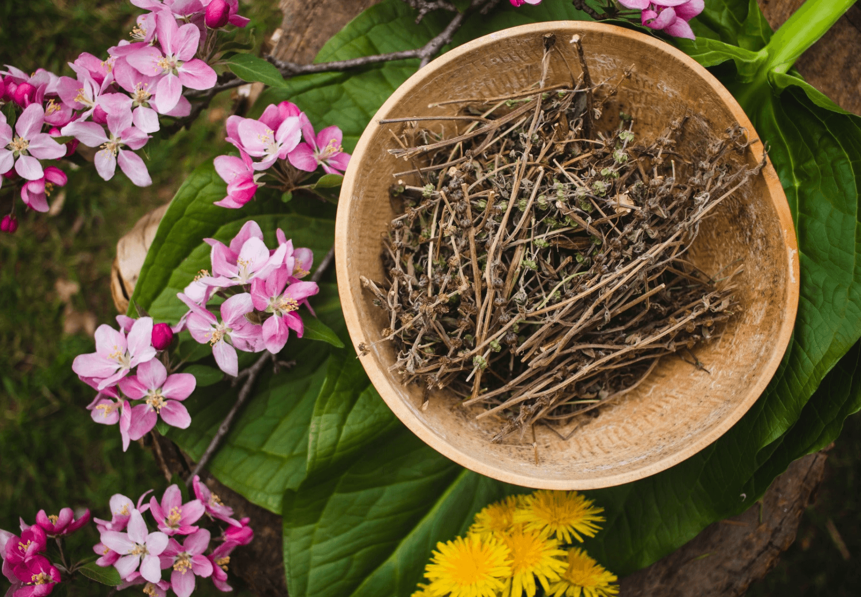 Ahlome herbs in a wooden bowl surrounded by green leaves and flowers