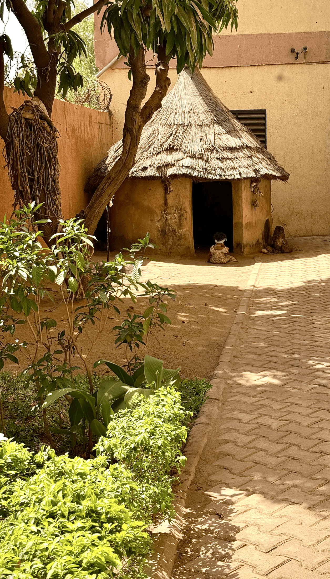 An Indigenous community tradition
