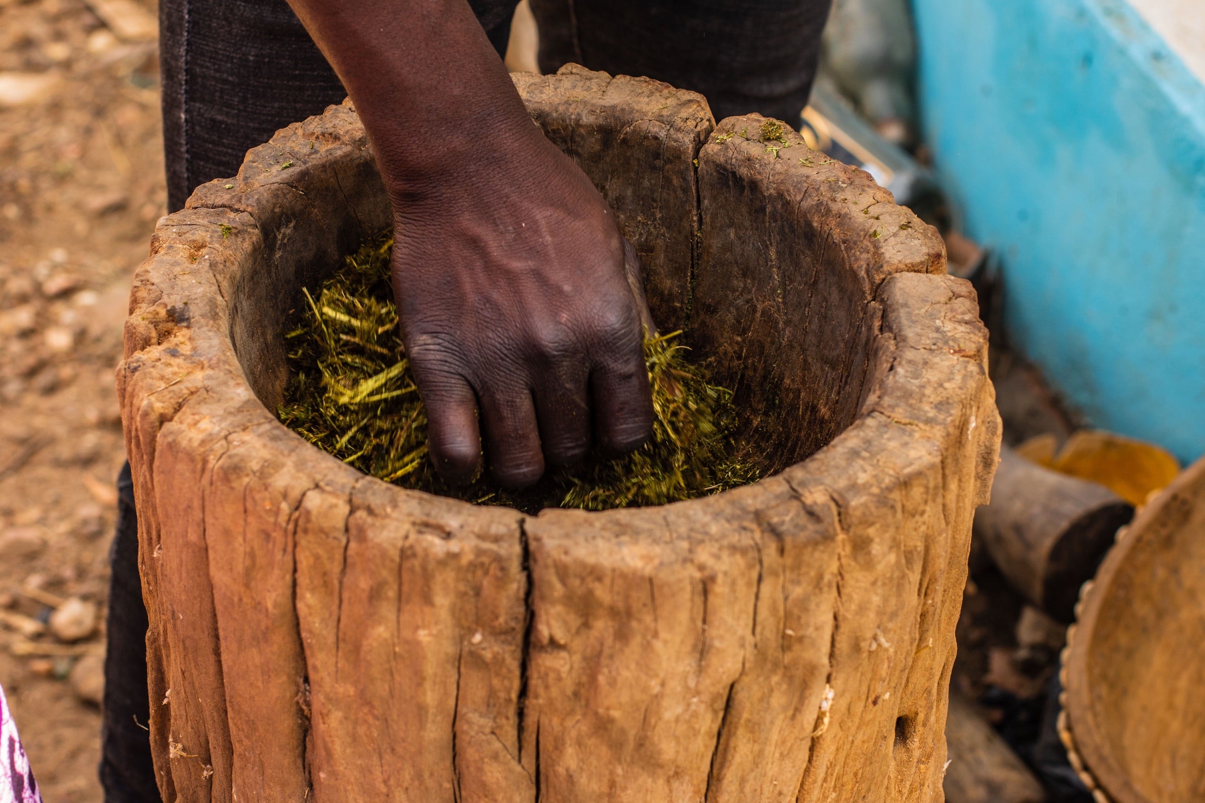 Traditional preparation of Indigenous African herbs by hand